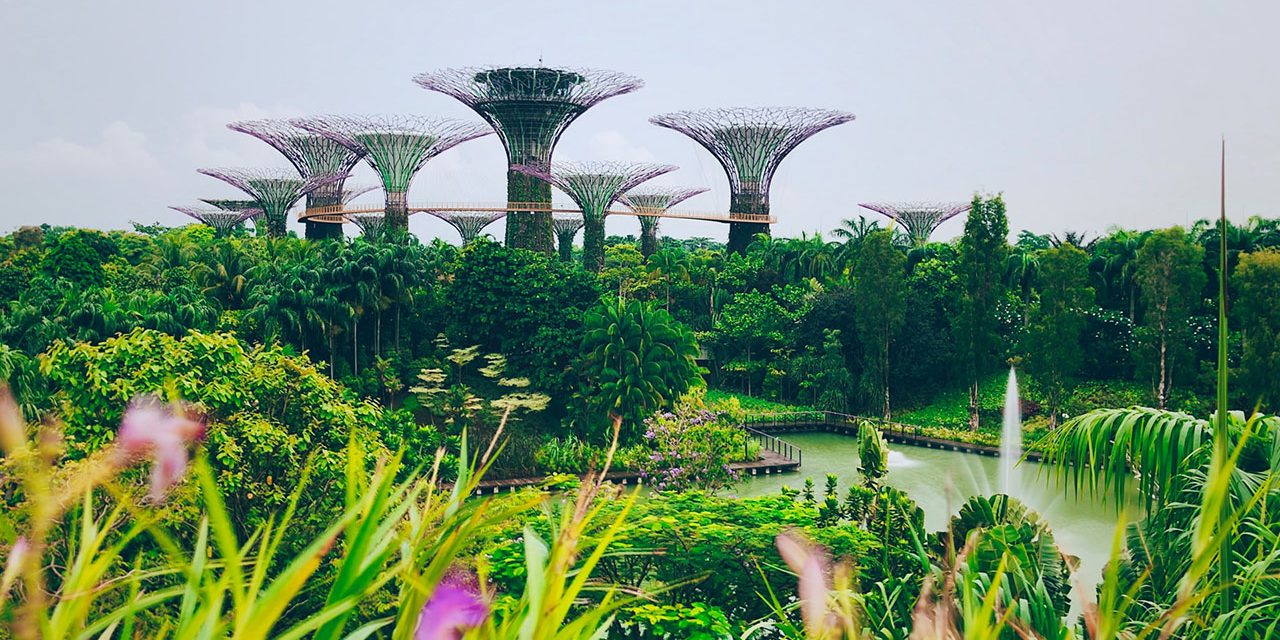 joe-green-iDWEN7erEAU-unsplash